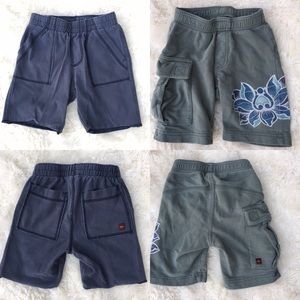 Tea Collection Shorts, 18-24 mos 2T